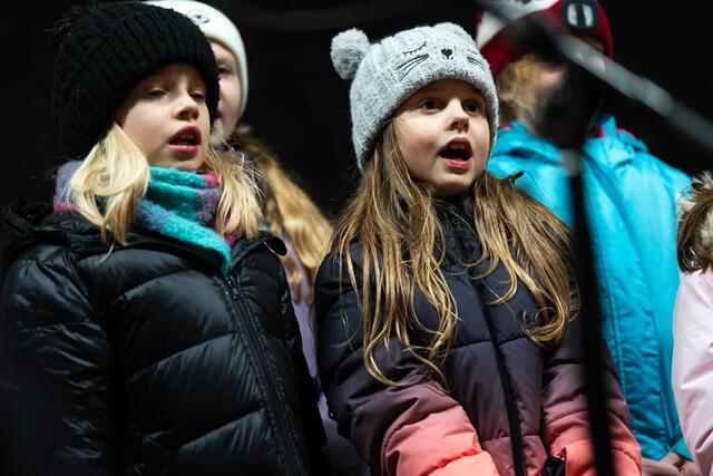 Foto: Harald Tauderer