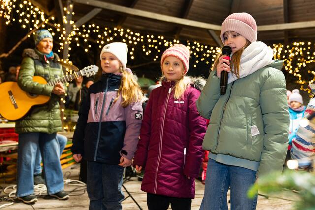 Foto: Harald Tauderer