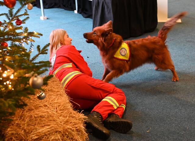 Rettungshundebrigade