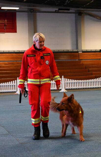 Rettungshundebrigade