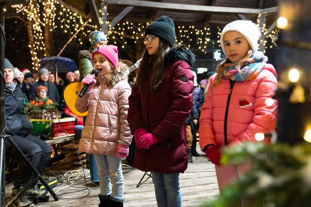 Foto: Harald Tauderer