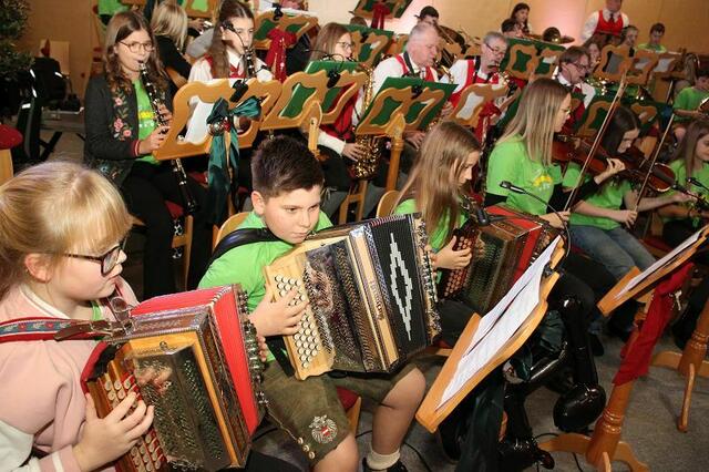 Auch die Steirische Harmonikaabteilung war vertreten. | Foto: Cescutti