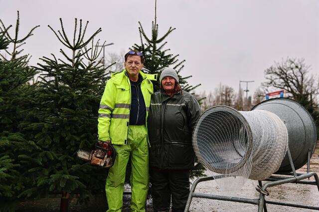 Seit vier Jahrzehnten immer dabei: Verkäufer Hermann Dichtl kennt die Christbaum-Welt in Linz-Urfahr wie kein anderer. | Foto: Reischl