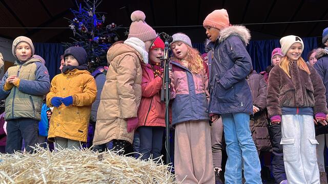 Foto: Alejandra Ortiz