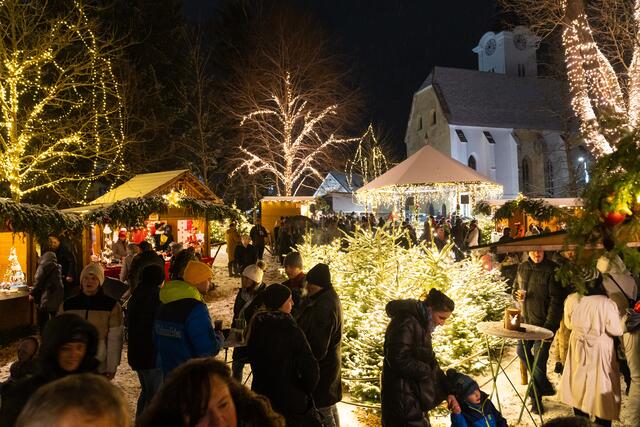 Foto: Harald Tauderer