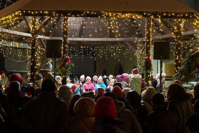 Foto: Harald Tauderer