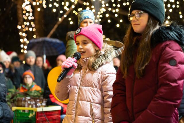 Foto: Harald Tauderer