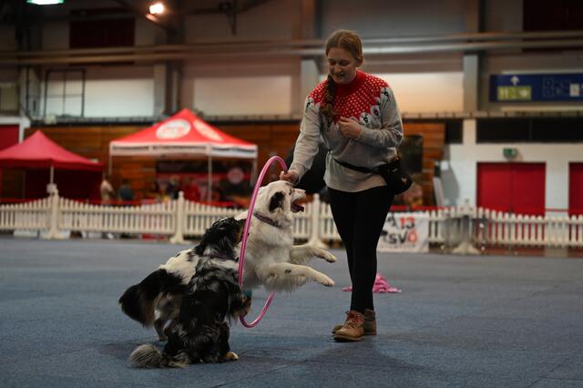 Trickdog - Inez Dengscherz