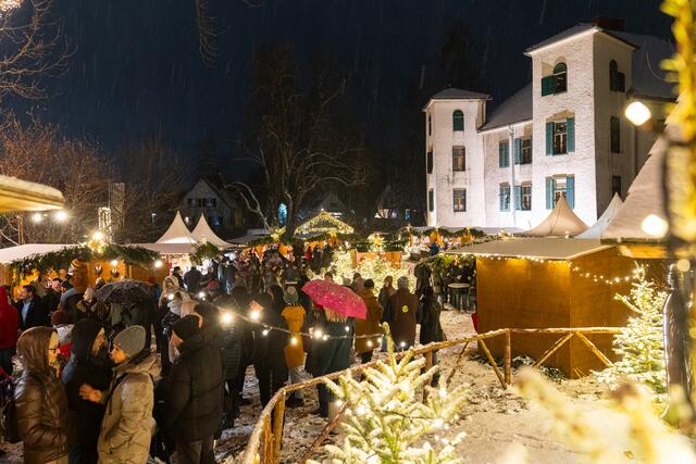 Foto: Harald Tauderer