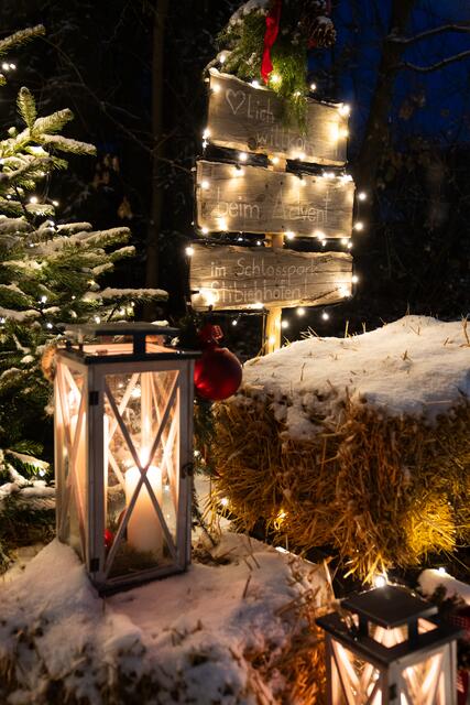 Foto: Harald Tauderer