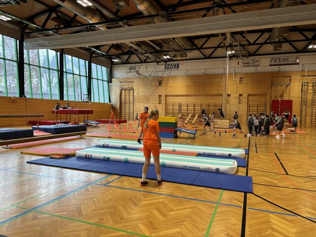 Foto: Hollinger Marc