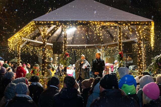 Foto: Harald Tauderer