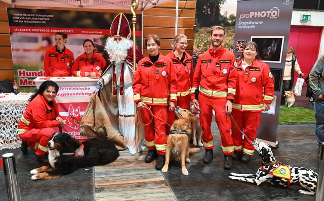 Rettungshundebrigade 