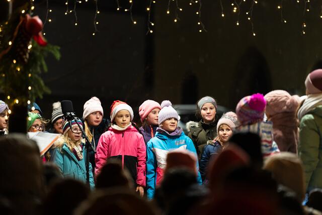 Foto: Harald Tauderer