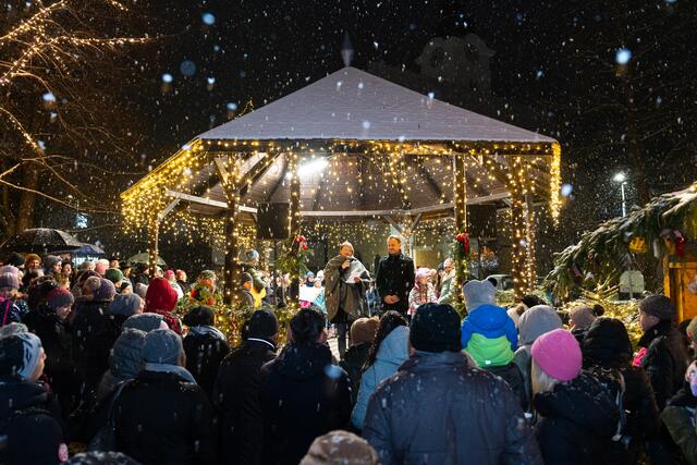 Foto: Harald Tauderer