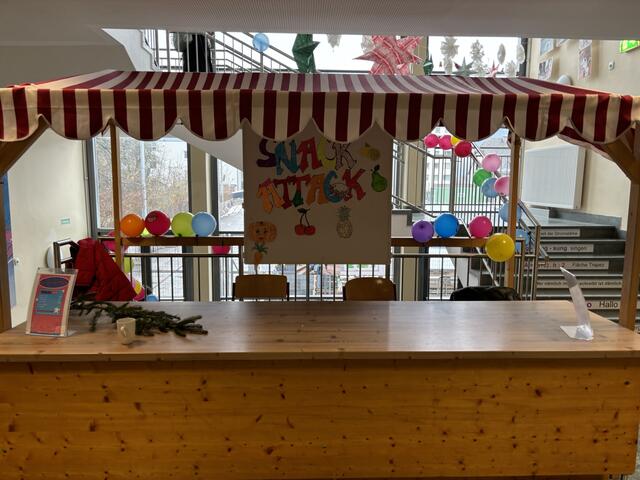 Foto: Hollinger Marc