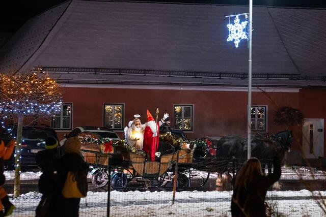 Foto: Harald Tauderer