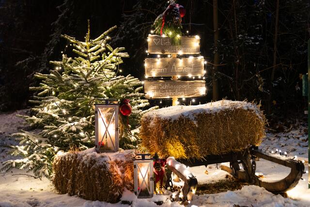 Foto: Harald Tauderer