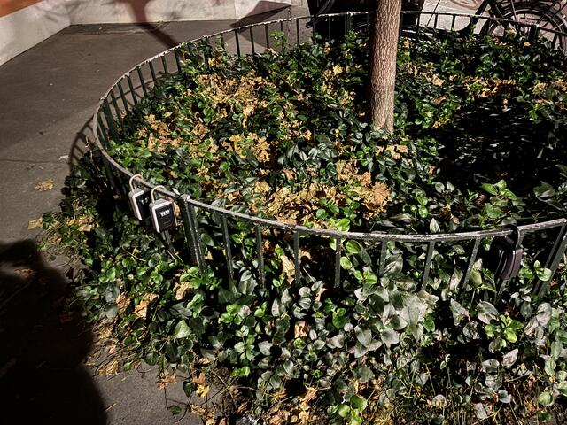 An beiden Adressen sind gegenüber der Wohnhäuser die Schlüsselboxen angebracht. Hier in der Laimgrubengasse.   | Foto: Luca Arztmann/MeinBezirk