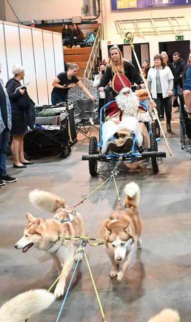 Schlittenhunde und Nikolaus
"HSV-ÖSHS - Heeressportverein Österreichischer Schlittenhundesportclub".