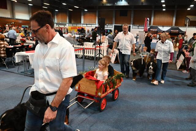 Zughunde - www.zughund.at