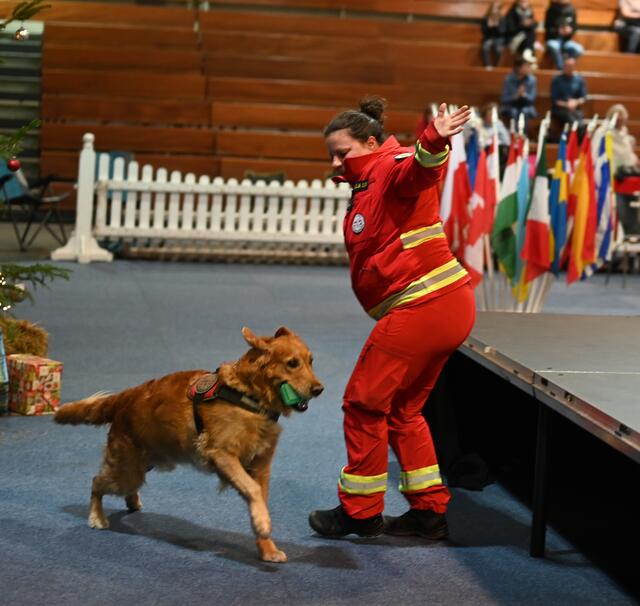 Rettungshunde - Öst. Rettungshundebrigade