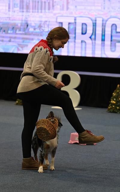 Trickdog - Inez Dengscherz