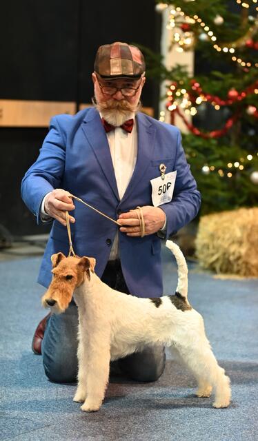 Beide bekommen eine tolle Wertung. 