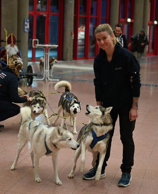 Schlittenhunde und Nikolaus
"HSV-ÖSHS - Heeressportverein Österreichischer Schlittenhundesportclub".