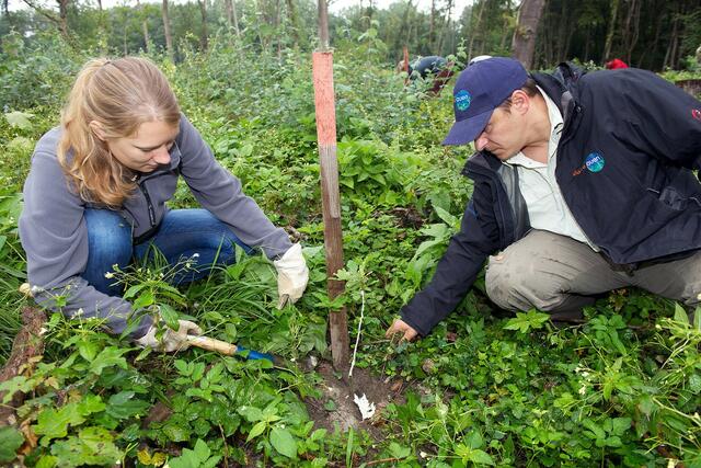 Baumpflanzen mit Freiwilligen | Foto: Kovacs