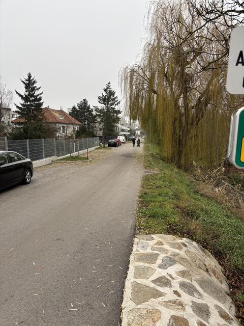 Foto: Alexandra Goll