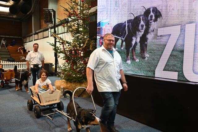 Zughunde - www.zughund.at