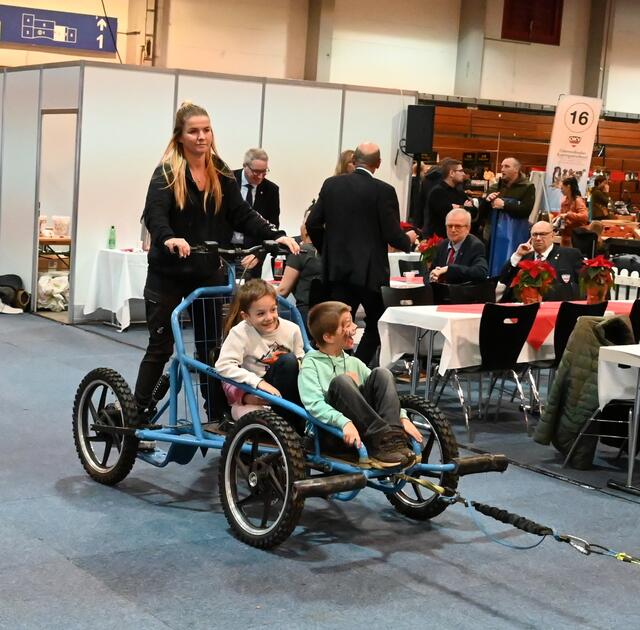 Schlittenhunde 
"HSV-ÖSHS - Heeressportverein Österreichischer Schlittenhundesportclub".