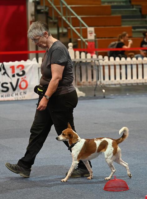 Rally Obedience - Michaela Holzinger