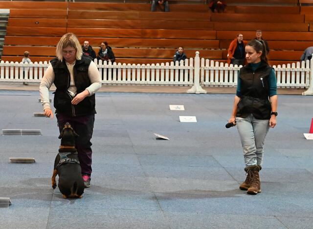 Rally Obedience - Michaela Holzinger