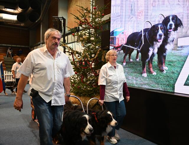 Zughunde - www.zughund.at