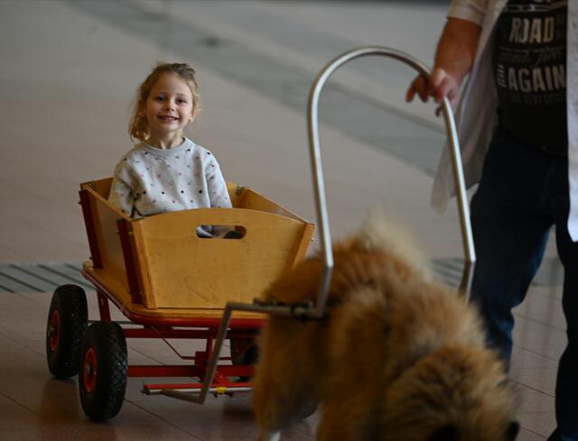 Zughunde - www.zughund.at