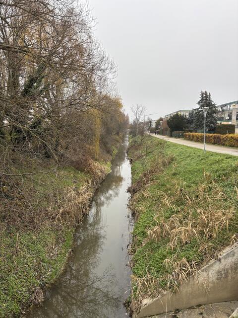 Auf dieser Seite der Bachpromenade gibt es nur einen Fuß- und Radweg. | Foto: Alexandra Goll