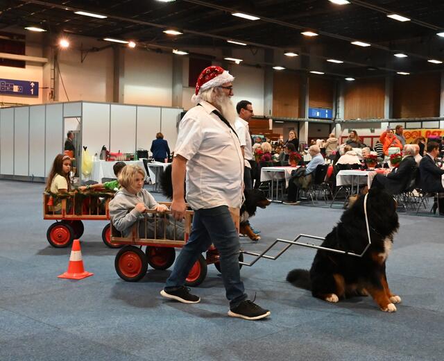 Zughunde - www.zughund.at