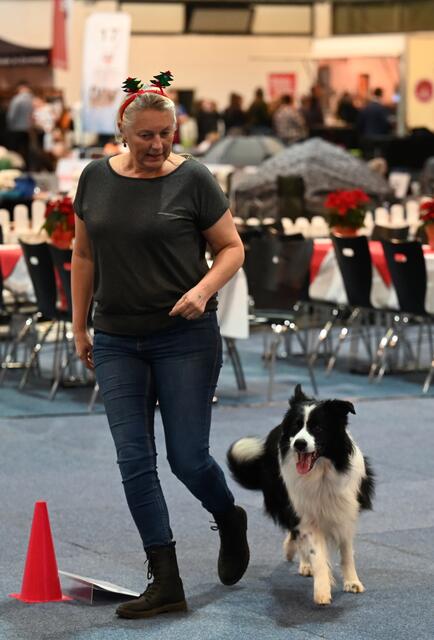 Rally Obedience - Michaela Holzinger