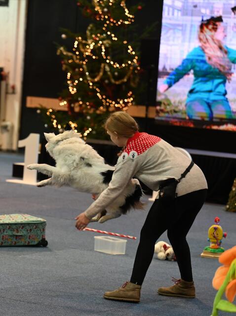 Trickdog - Inez Dengscherz