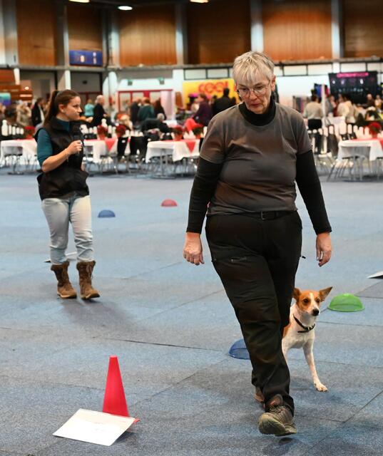 Rally Obedience - Michaela Holzinger