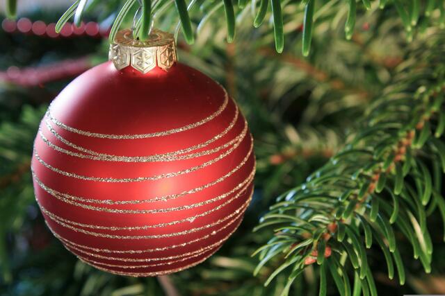 An acht Stellen in Margareten kannst du dir deinen Christbaum aussuchen. Am 12. Dezember startet der Verkauf. | Foto: Pixabay/armennano