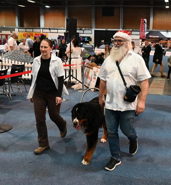 Zughunde - www.zughund.at