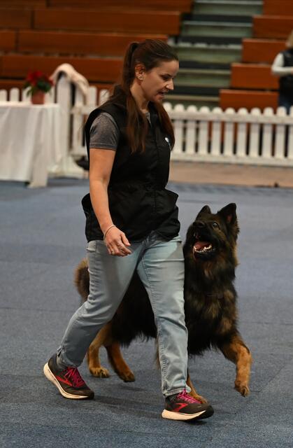 Rally Obedience - Michaela Holzinger