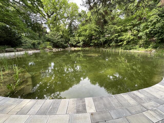 Der Denglerpark wurde aufwendig saniert – unter anderem wurde der Teich auf Vordermann gebracht. | Foto: Johannes Reiterits/RMW