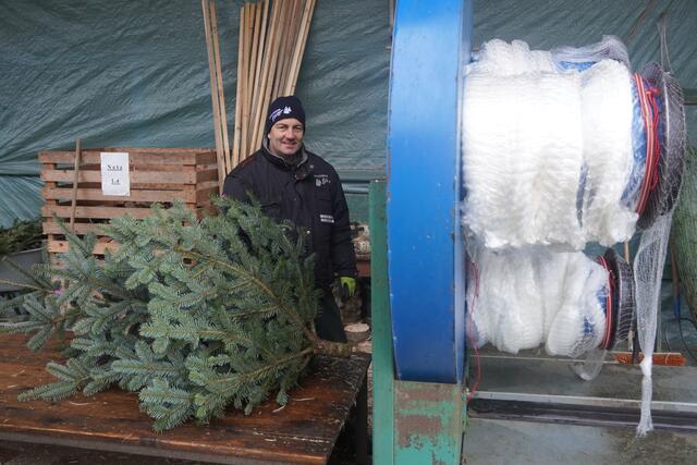 Peter Stürzer aus Nussdorf hat eine große Passion für Christbäume. Vom Anbau bis zum Verkauf ist er hier vollkommen in seinem Element. | Foto: Emanuel Hasenauer