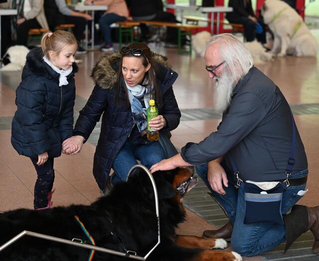 Zughunde - www.zughund.at