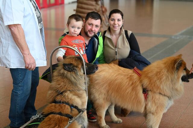 Zughunde - www.zughund.at