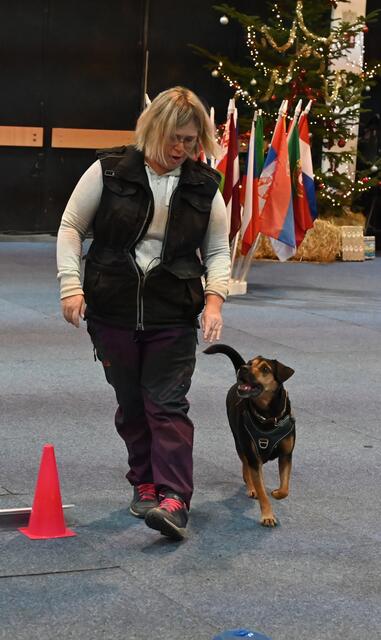 Rally Obedience - Michaela Holzinger